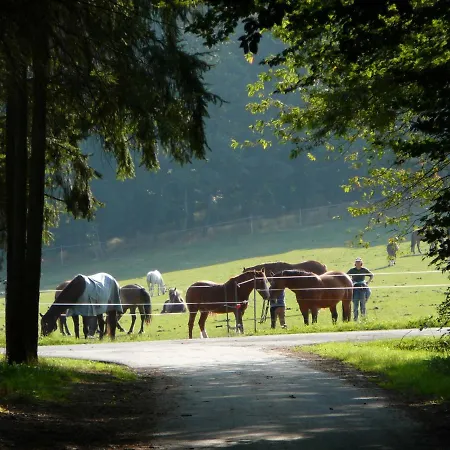 Farm stay Studiowohnung, Offener Wohn- Und Schlafber *